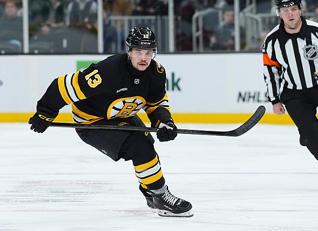 Smolný konec české lajny v Bostonu. Blümel kouše další ránu, v noci se zranil