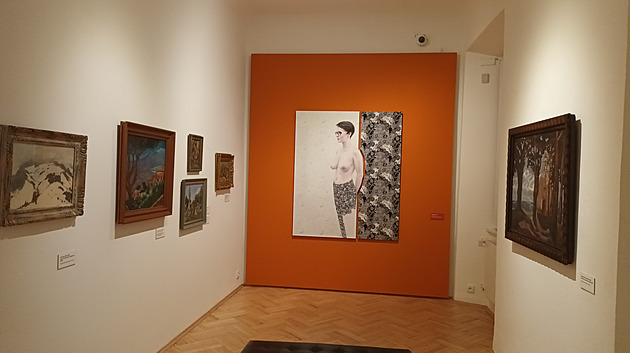 Severočeská galerie zve na díla, která získala v posledních pěti letech