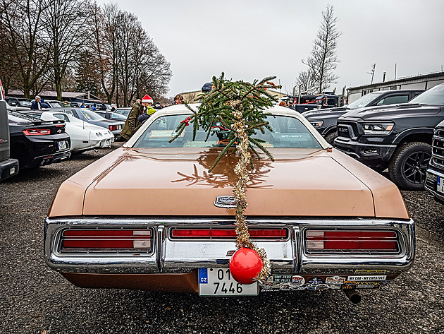 Převoz vánočního stromečku není věda. Řada řidičů, ale ohrožuje sebe i ostatní