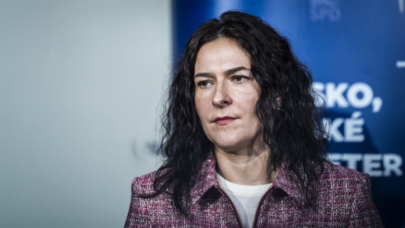 Místo práce ve výborech točí propagační videa. Sněmovna je neefektivní, tvrdí Šichtářová