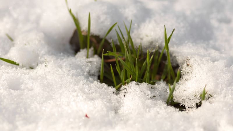 Zlom v počasí: Do částí Česka se vrátí sníh. MAPA ukazuje, kam vyrazit za teplem