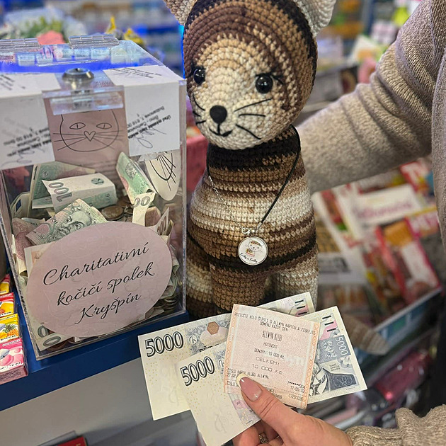 Rozbil výlohu květinářství a ukradl desetitisíce korun na pomoc týraným kočkám