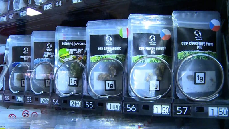 Zabiják Kratom: Po užití legální drogy loni v Česku zemřelo 17 lidí