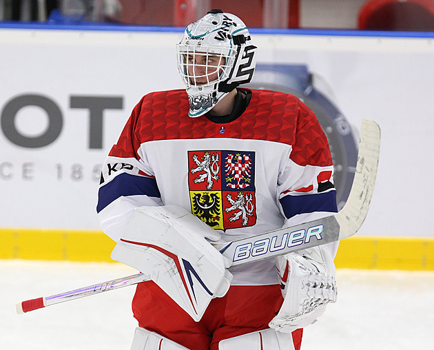 Osmnáctka je jediný krok od medaile. Ve světovém čtvrtfinále udolala Finsko