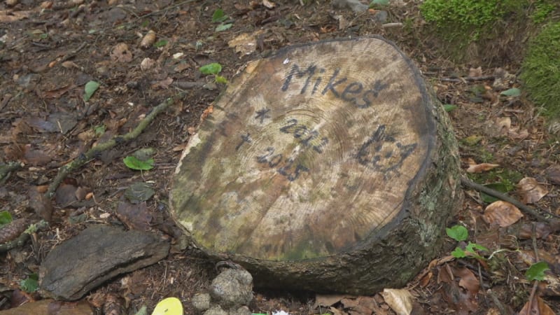 Spoušť na zvířecím hřbitově v Aši: Pachatel zdevastoval hroby mazlíčků. Trest mu nehrozí