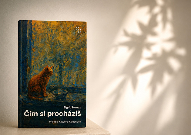RECENZE: Čím si procházíš? Nunezová se ptá správně, odpovědím ale nenaslouchá